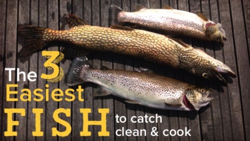 The Three Easiest Fish to Catch, Cook and Eat! - Homesteady