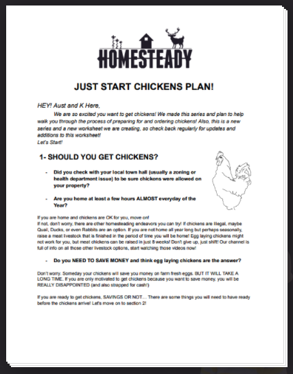 everything-you-need-for-chickens-quick-and-simple-homesteady