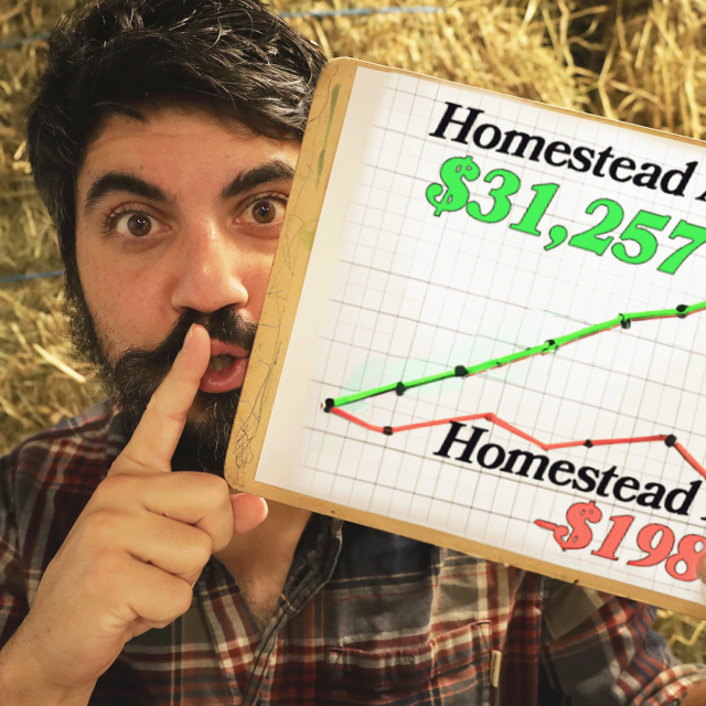 WARNING: Your Homestead Will Lose $1,980 This Year (Unless You Do This)